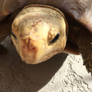 Meet your Posher, Jordyn